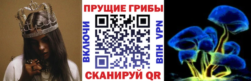 Галлюциногенные грибы Magic Shrooms  Вышний Волочёк 