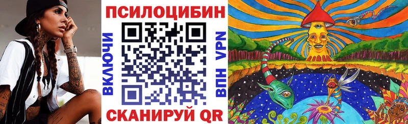 Псилоцибиновые грибы прущие грибы Вышний Волочёк